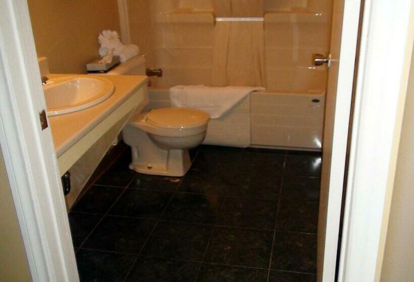 غرفه قياسيه سريرين مزدوجين, North Adventure Inn