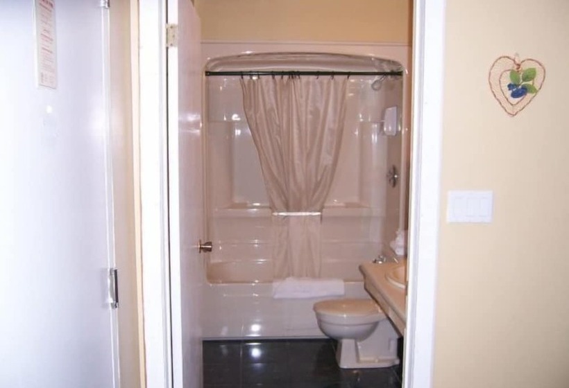 Номер Стандарт 2 Двуспальные Кровати, North Adventure Inn