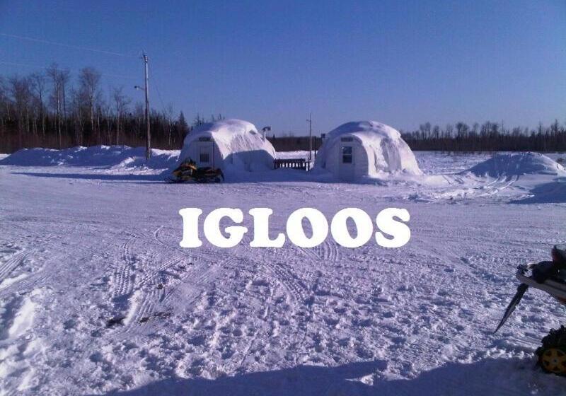 غرفة قياسية, North Adventure Inn