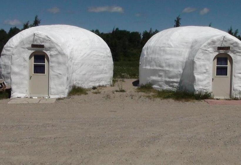 غرفة قياسية, North Adventure Inn