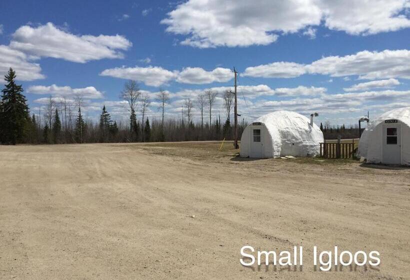 غرفة قياسية, North Adventure Inn