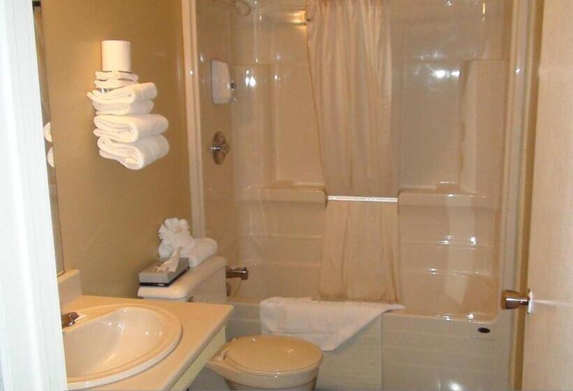 غرفه قياسيه سريرين مزدوجين, North Adventure Inn