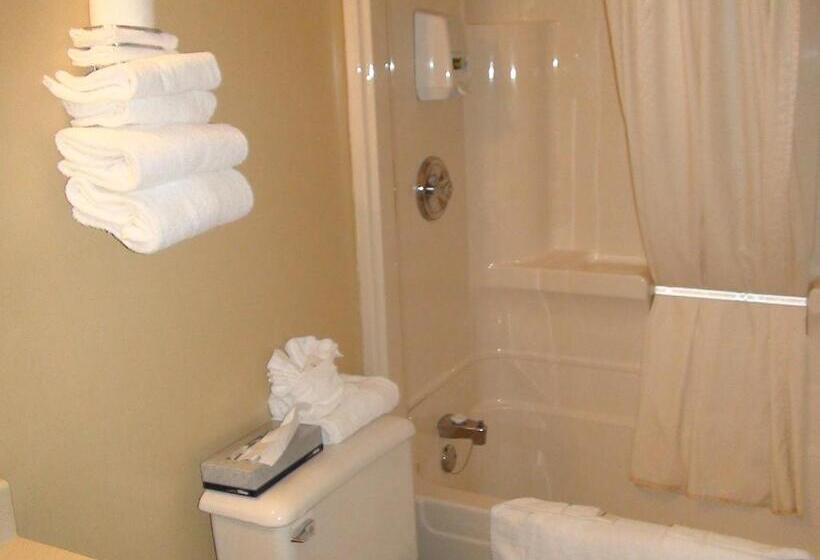 غرفه قياسيه سريرين مزدوجين, North Adventure Inn