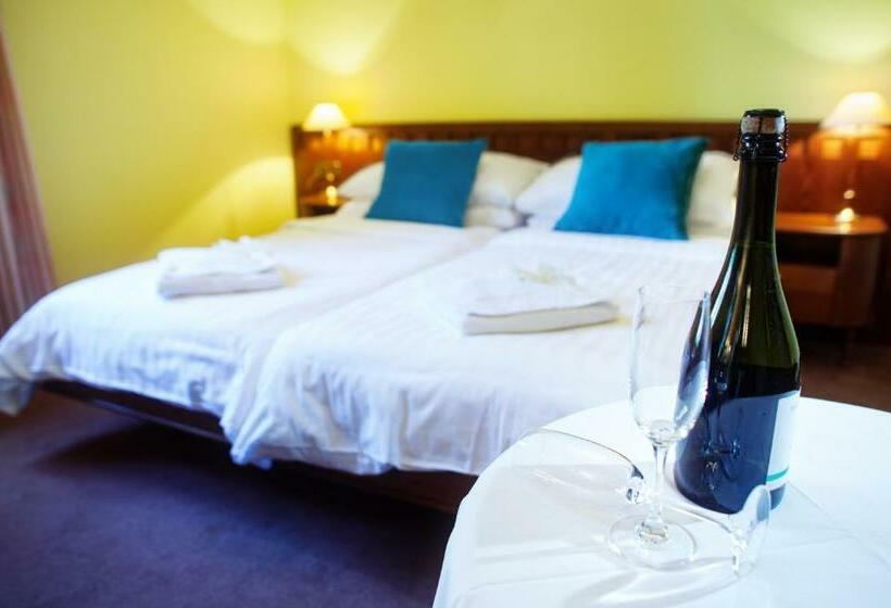 غرفة قياسية, Retro Hotel Villa Ostrava