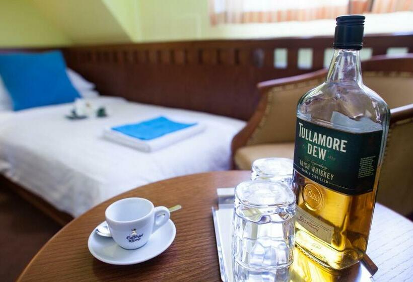 اتاق استاندارد یک نفره, Retro Hotel Villa Ostrava