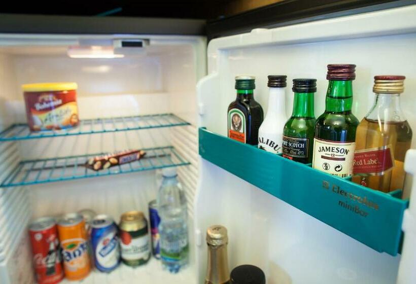 غرفة قياسية, Retro Hotel Villa Ostrava