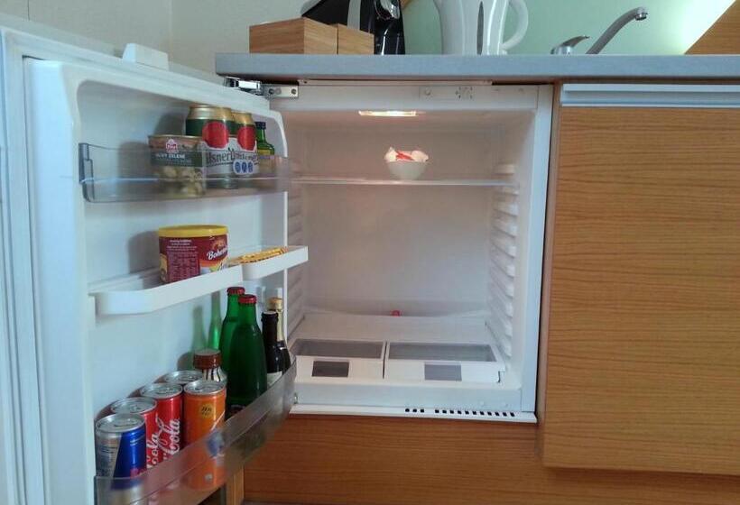 شقة غرفة واحدة, Retro Hotel Villa Ostrava