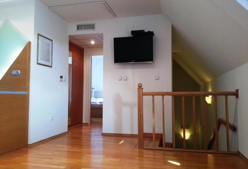 شقة غرفة واحدة, Retro Hotel Villa Ostrava