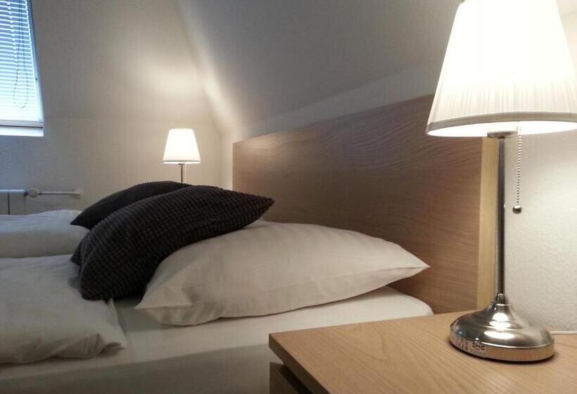 شقة غرفة واحدة, Retro Hotel Villa Ostrava