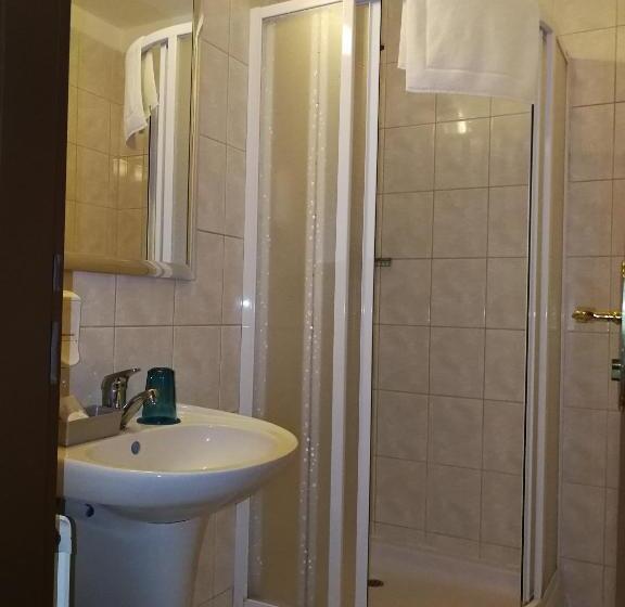 غرفة قياسية فردية, Retro Hotel Villa Ostrava