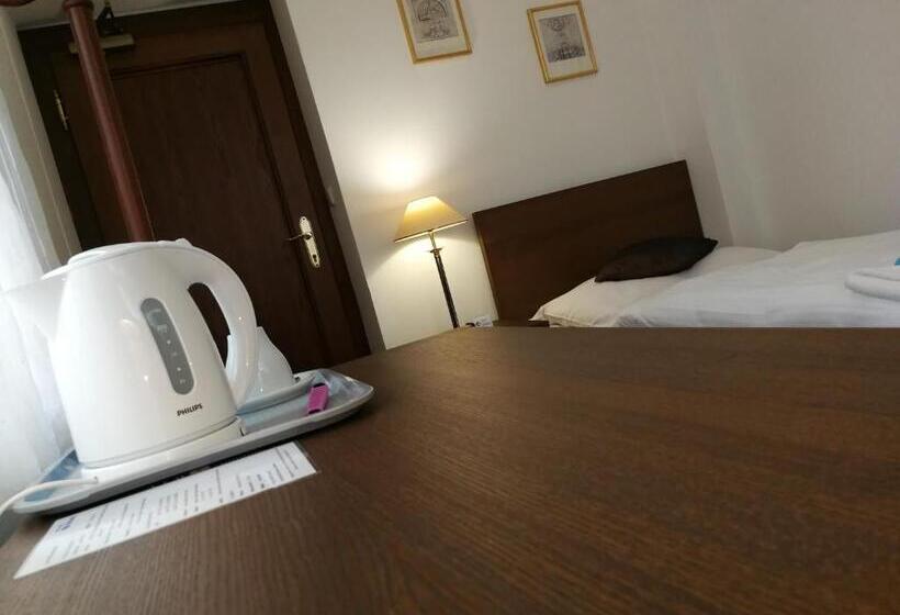 غرفة قياسية فردية, Retro Hotel Villa Ostrava