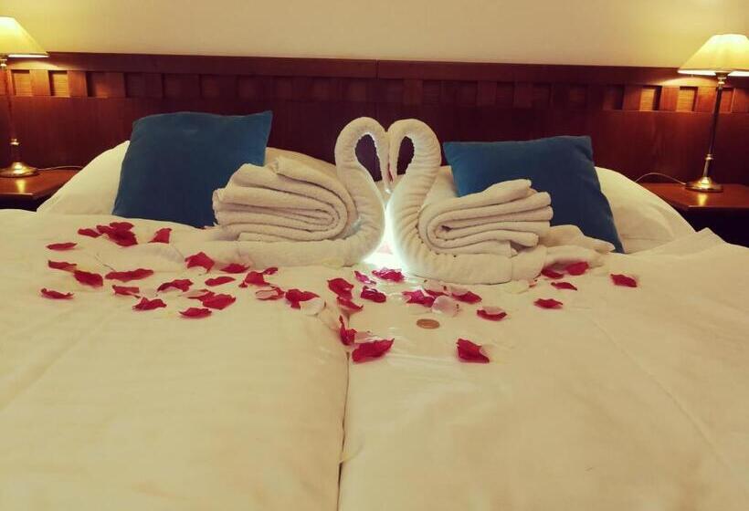 غرفة قياسية, Retro Hotel Villa Ostrava