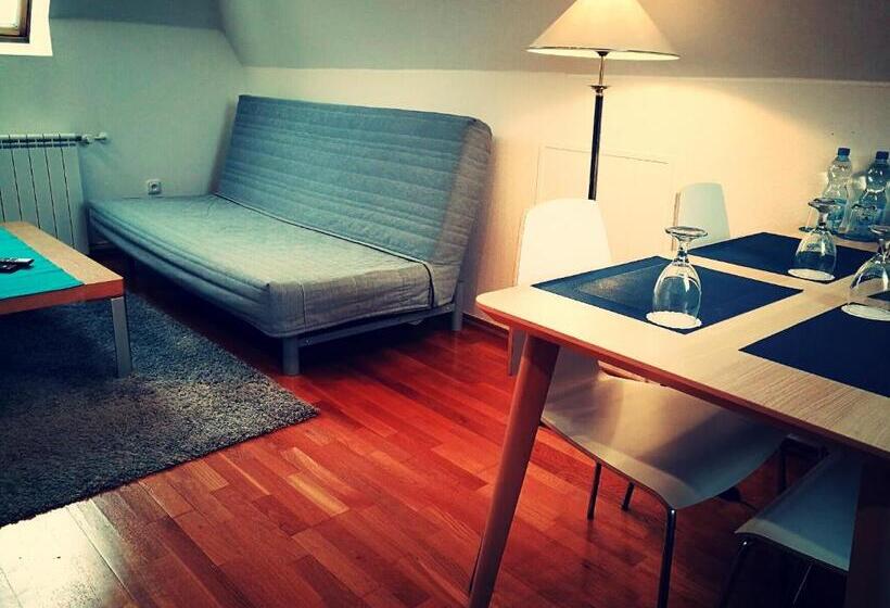 شقة غرفة واحدة, Retro Hotel Villa Ostrava