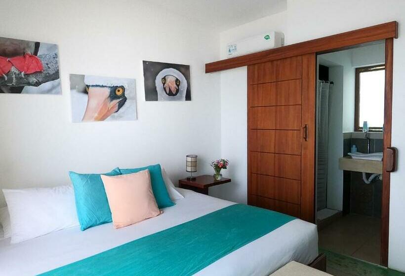 Номер Стандарт Вид на Море, Cormorant Beach House