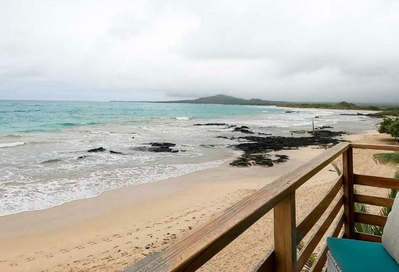 Номер Стандарт Вид на Море, Cormorant Beach House