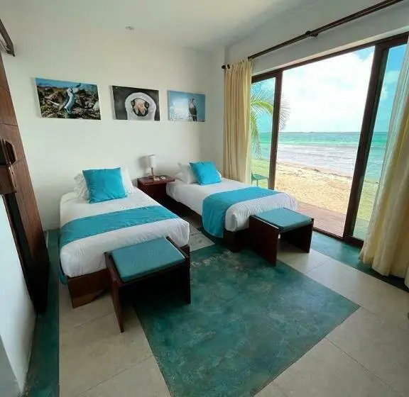 Standard-huone Merinäkymä, Cormorant Beach House
