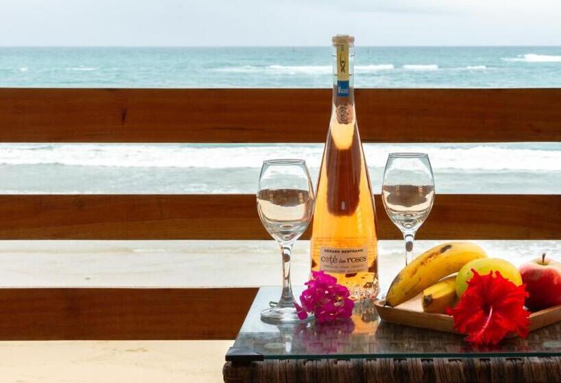 Полулюкс Вид на Море, Cormorant Beach House