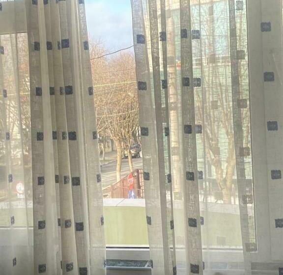 标准间, Paradox Movila