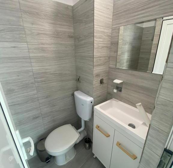 标准三人间, Paradox Movila