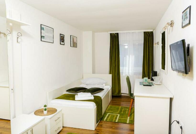 シングルデラックスルーム, Pensiunea Pictorilor