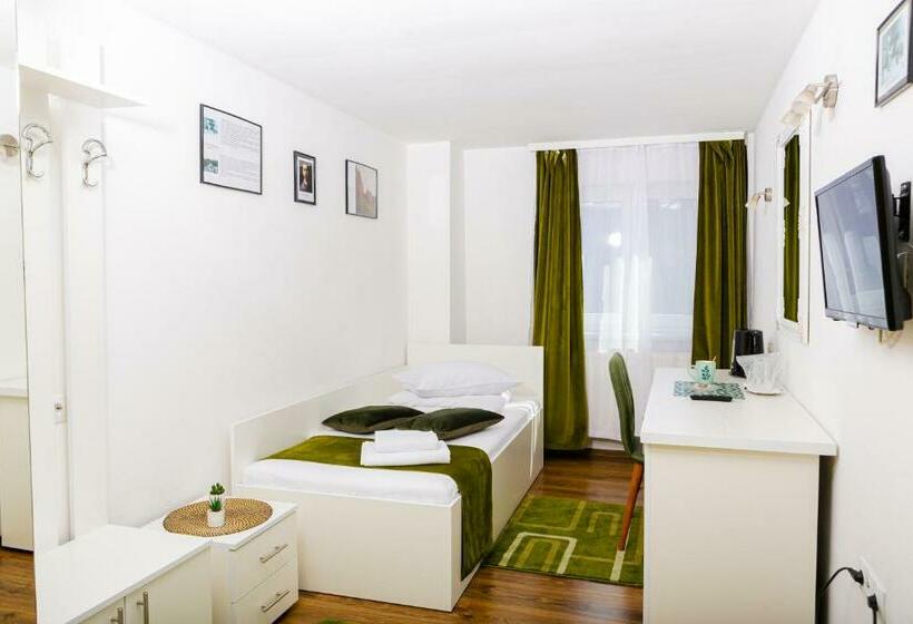 シングルデラックスルーム, Pensiunea Pictorilor