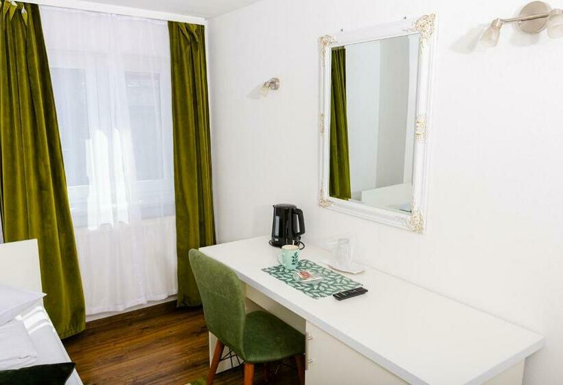 シングルデラックスルーム, Pensiunea Pictorilor