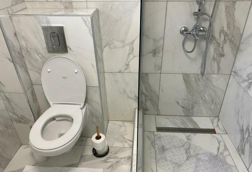 シングルデラックスルーム, Pensiunea Pictorilor