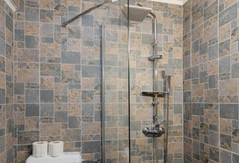 חדר דלוקס יחיד, Pensiunea Pictorilor