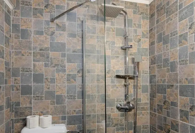 Deluxe Yhden Hengen Huone, Pensiunea Pictorilor