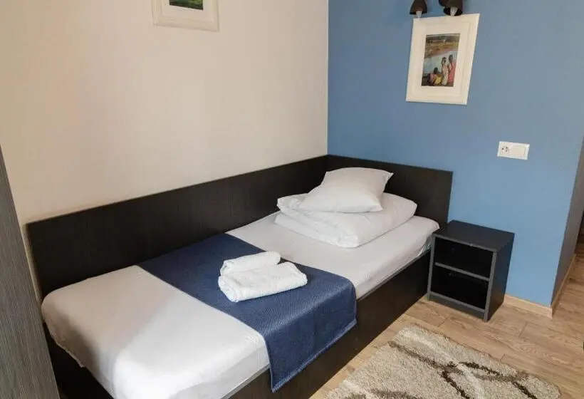 Deluxe Yhden Hengen Huone, Pensiunea Pictorilor