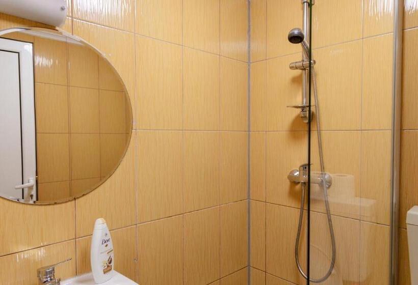 スタンダードルーム, Pensiunea Pictorilor