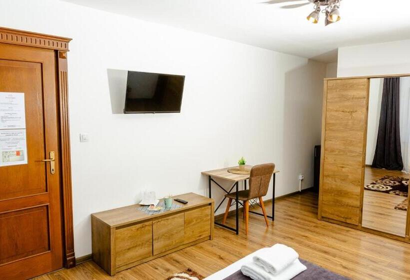 キングサイズベッドのスーペリアルーム, Pensiunea Pictorilor