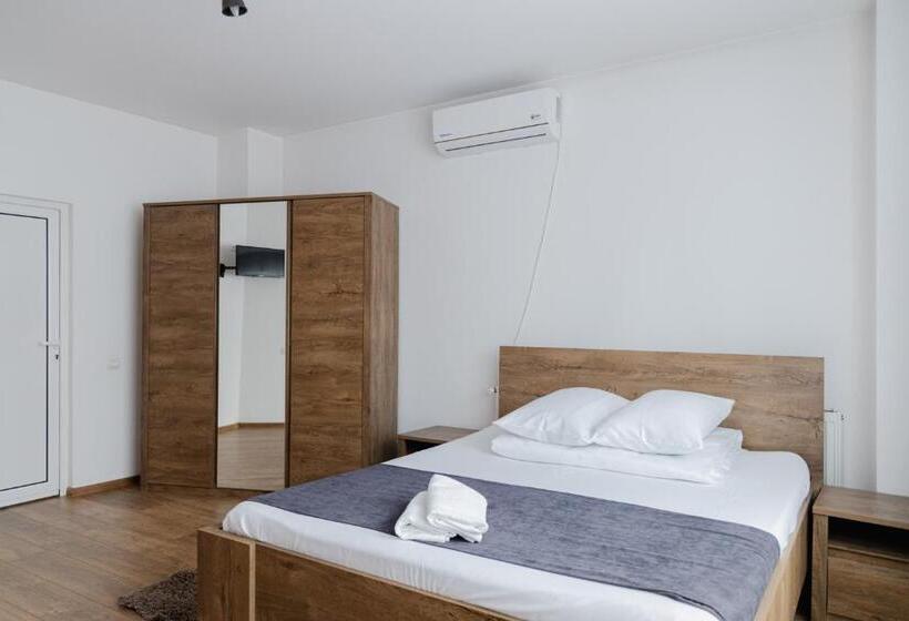 １ベッドルームアパートメント, Pensiunea Pictorilor