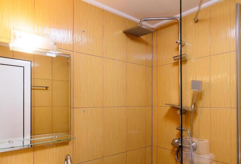 חדר סטנדרט, Pensiunea Pictorilor