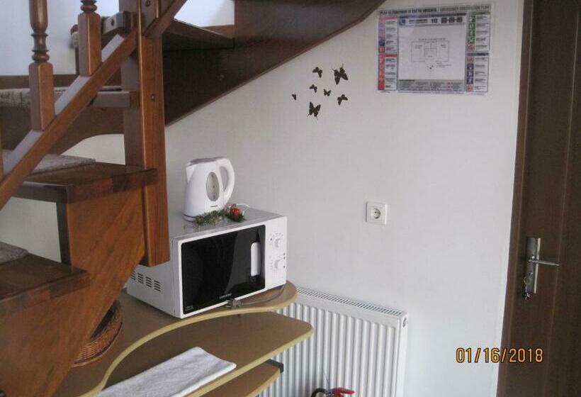 غرفة ديلوكس, Zoltán & Erika Panzió Parajd