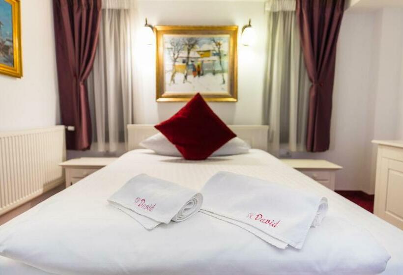 标准单人间, Casa David