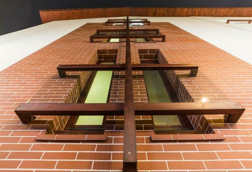 标准单人间, Casa David