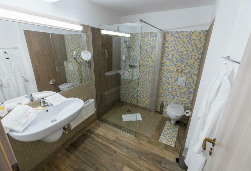 高级大房间, Casa David