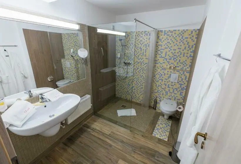 Cameră Superioară, Casa David