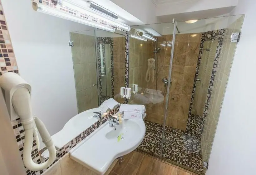 Cameră Clasică, Casa David