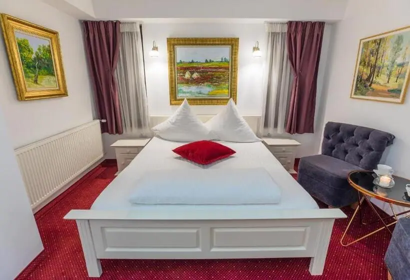 Cameră Superioară, Casa David