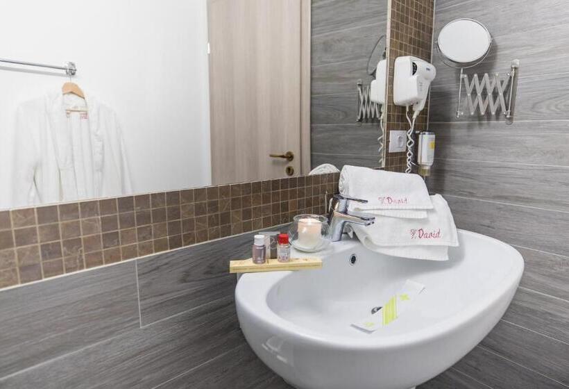 高级大房间, Casa David