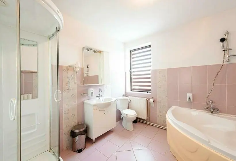 Standard-huone, Pensiunea Casa Zanelor