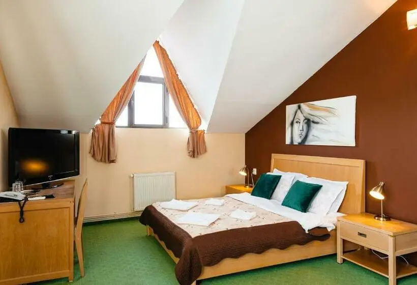 Deluxe-huone, Pensiunea Casa Zanelor