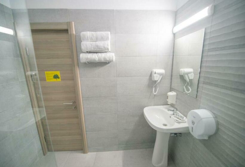 스탠다드 룸, Olguta