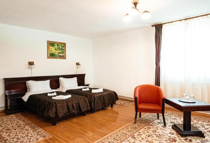 דירת חדר, Pensiunea Casa Zanelor