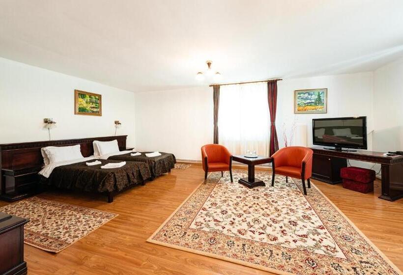 דירת חדר, Pensiunea Casa Zanelor