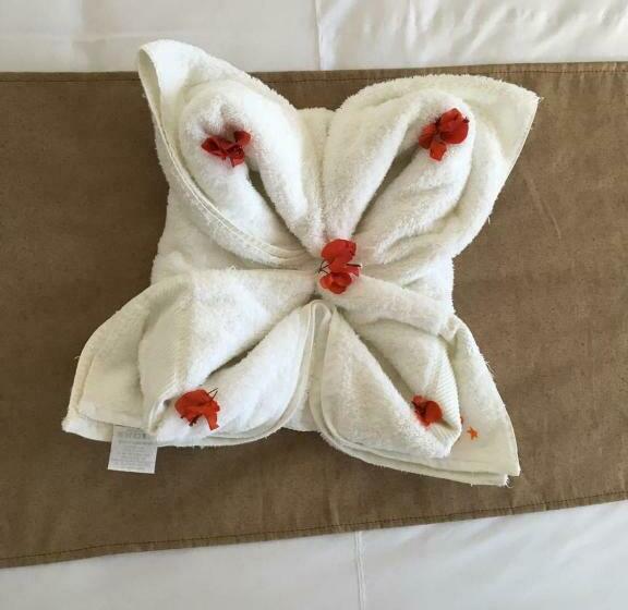 اتاق سوپریور, Sol De Ica