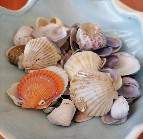 Номер Стандарт с Балконом, Tomis Hotel Neptun