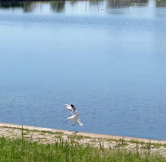 Номер Economy, Tomis Hotel Neptun